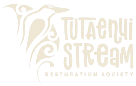 Tūtaenui Stream Restoration Society